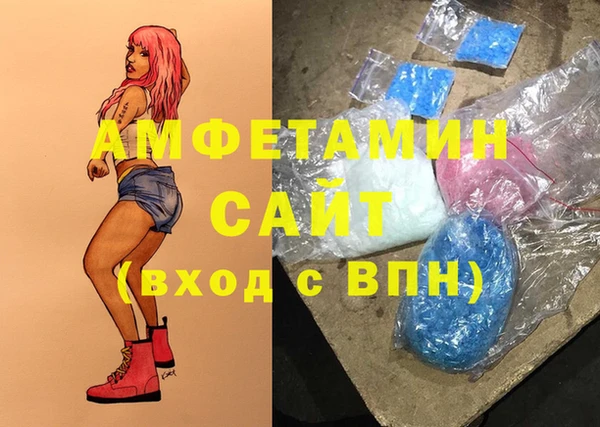 крисы Алексин