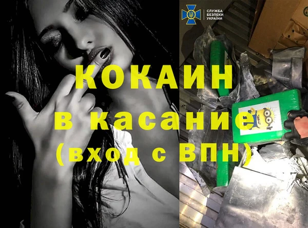 крисы Алексин