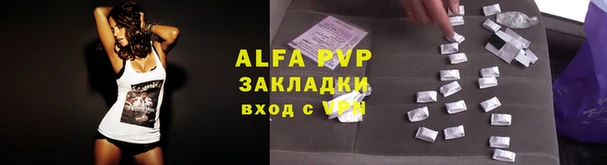 не бодяженный Алзамай