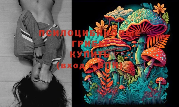 не бодяженный Алзамай